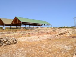 Yacimiento de Villaricos 2012